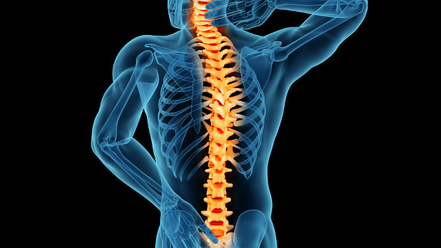 spine pic